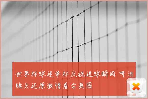 世界杯球迷举杯庆祝进球瞬间 啤酒镜头还原激情看台氛围