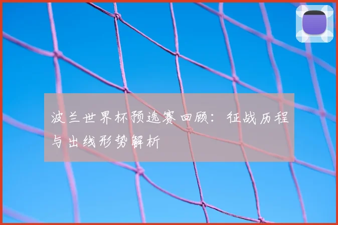 波兰世界杯预选赛回顾：征战历程与出线形势解析
