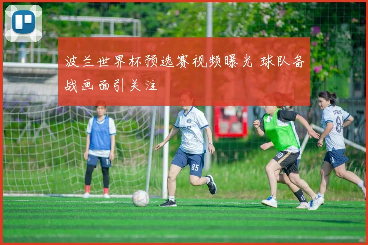 波兰世界杯预选赛视频曝光 球队备战画面引关注
